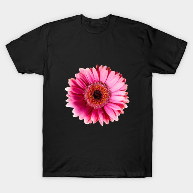 Beautiful Gerbera Flower T-Shirt by Zenflow